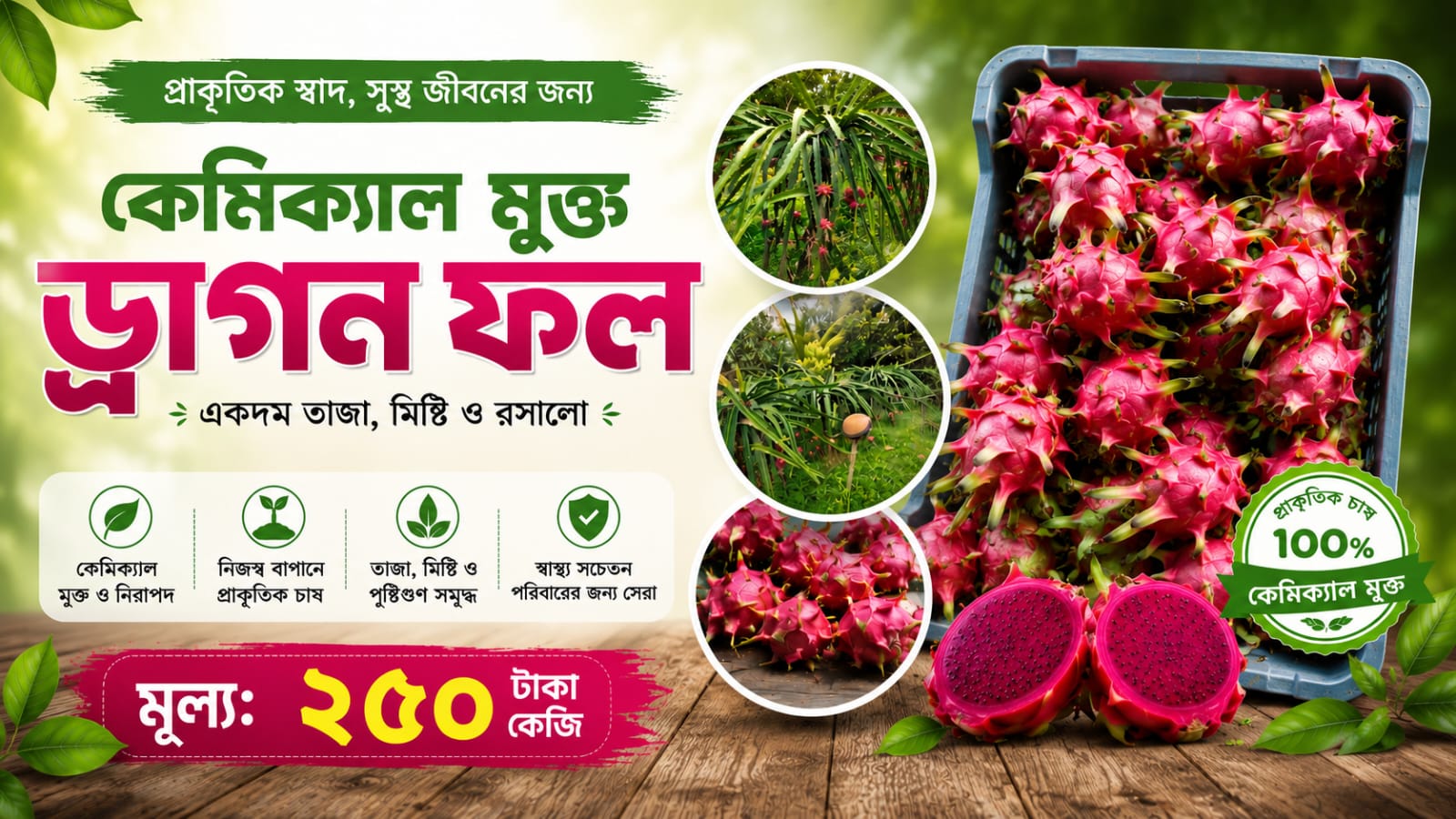 কেমিক্যাল মুক্ত ড্রাগন ফল।